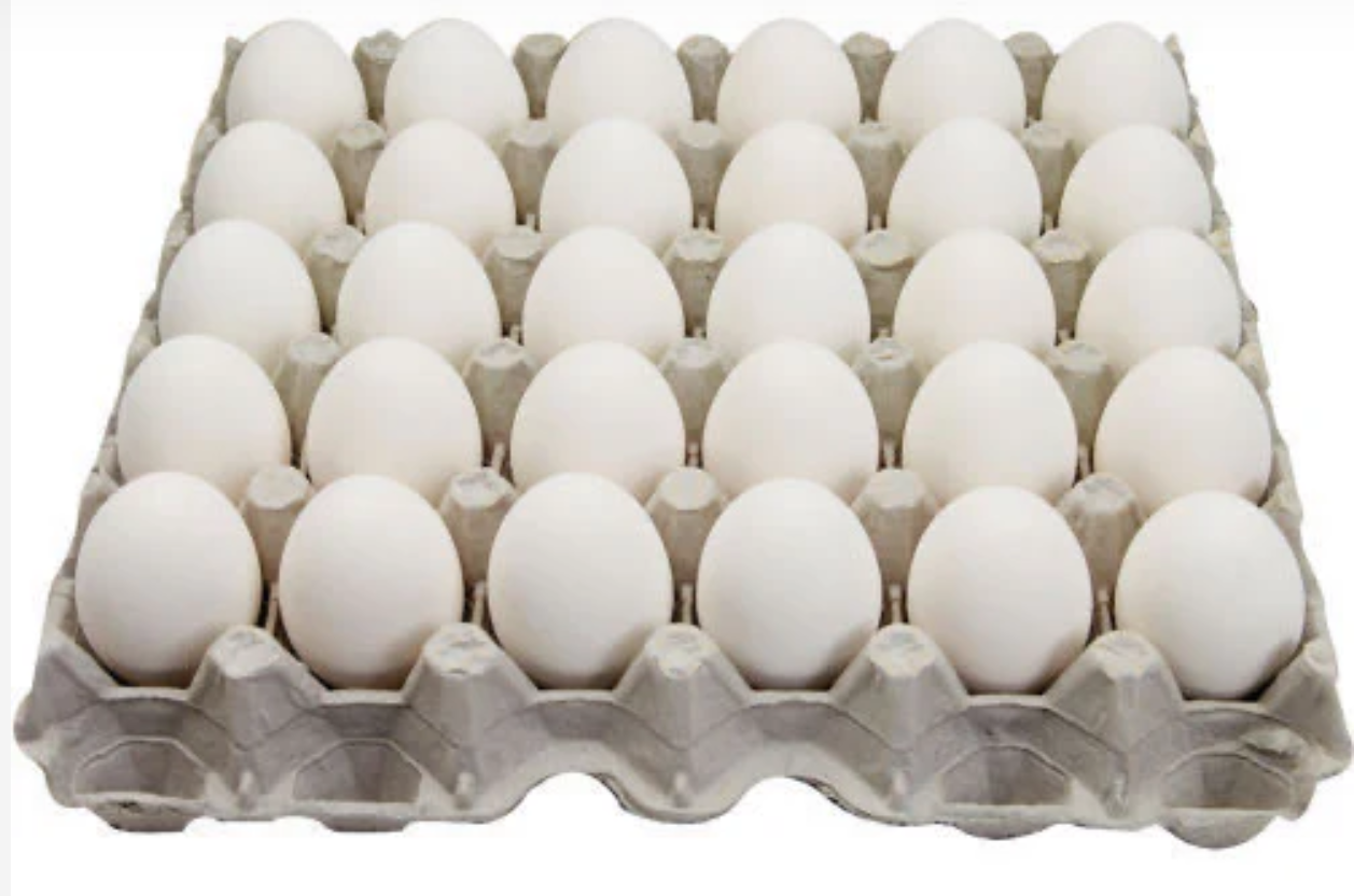 Œufs blancs naturels de grande taille - paquet de 24