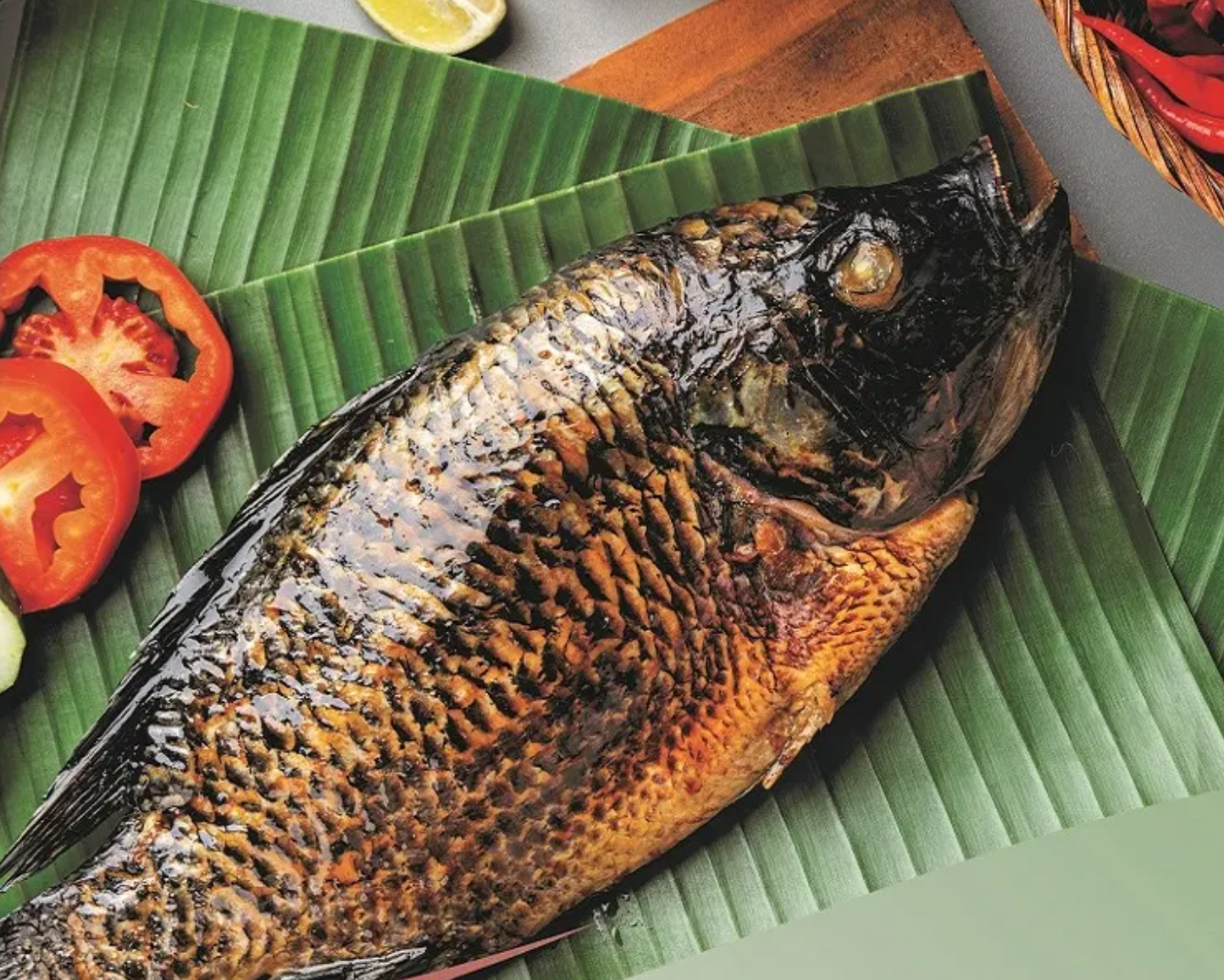 Poisson tilapia