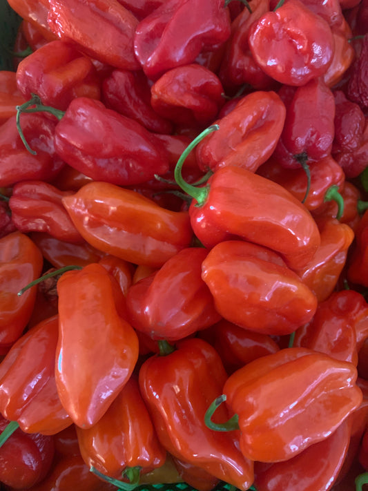 1lb very Hot and spicy Ghost pepper