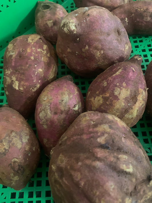 Sweet Potato - Premium Original potatoes 1LB