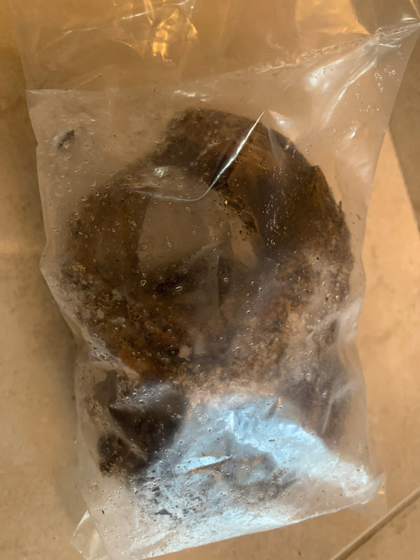 Eja kika - poisson panla fumé