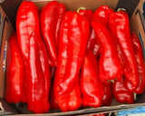 Poivrons rouges savoureux (Tatase Original) - 1 lb