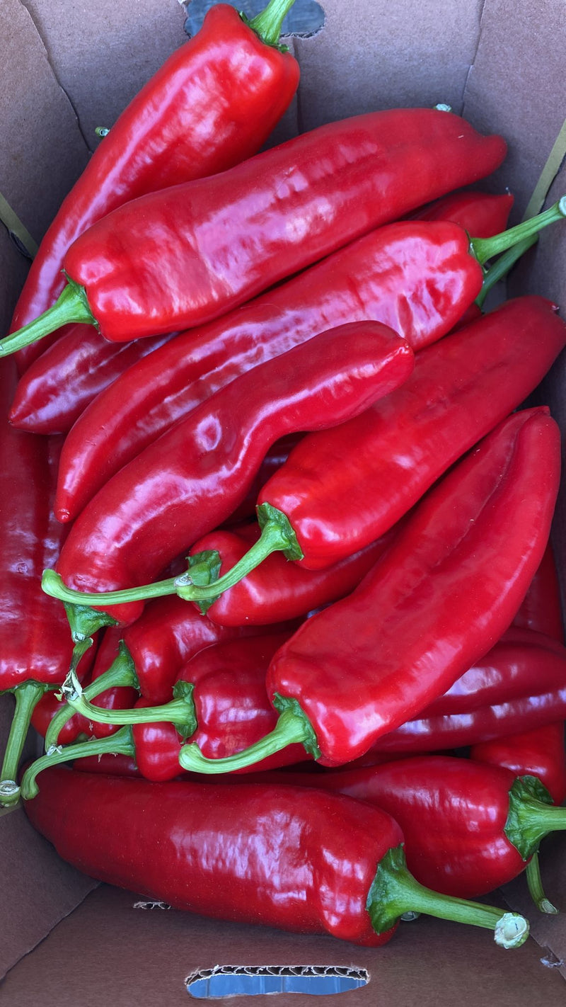 Poivrons rouges savoureux (Tatase Original) - 1 lb