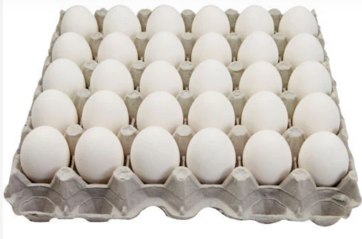 Natural large white Eggs - pack of 24