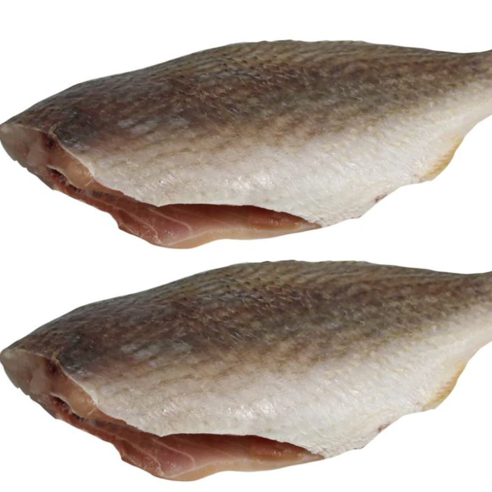 Jumbo Croaker fish - 2 pieces