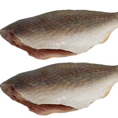 Poisson Croaker géant - 2 pièces