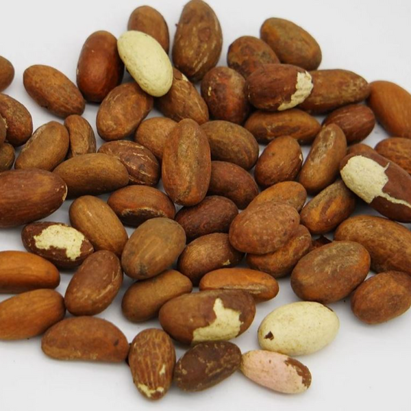 Noix de Kolan amère (Obi, Orogbo) - Premium