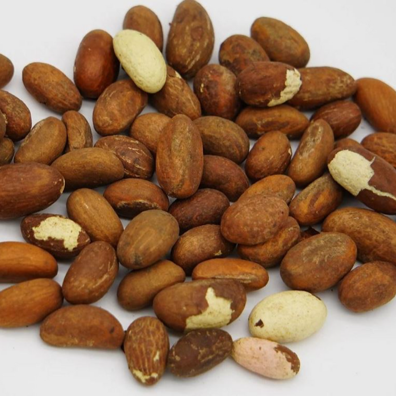 Noix de Kolan amère (Obi, Orogbo) - Premium