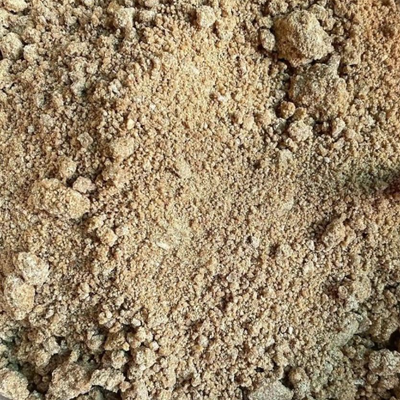 Ogbono - Enraciné