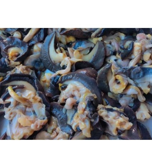 Escargot frais savoureux de grande taille 