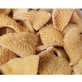 Tasty Shaki - Tripes de vache fraîches, Yemuadie - 2 lb