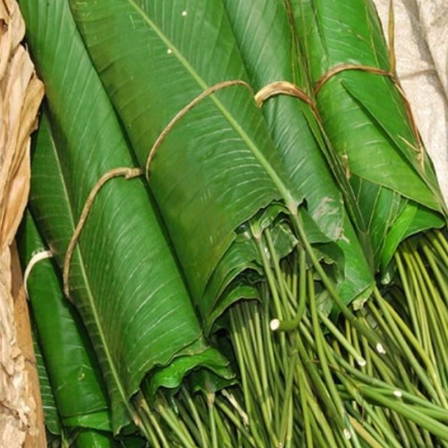 Moin moin leaves (Moi moi)