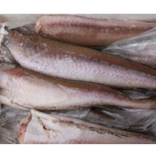 Box of Whiting Fish | Hake Fish | Panla