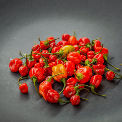 Piment Habanero Scotch Bonnet - Ata Rodo épicé