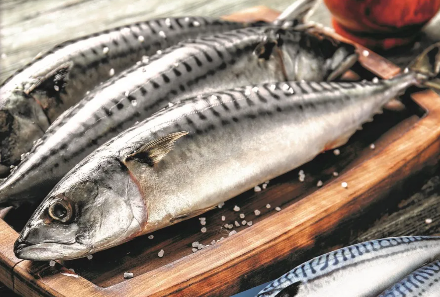 Box of Mackerel Fish - (Titus Fish)