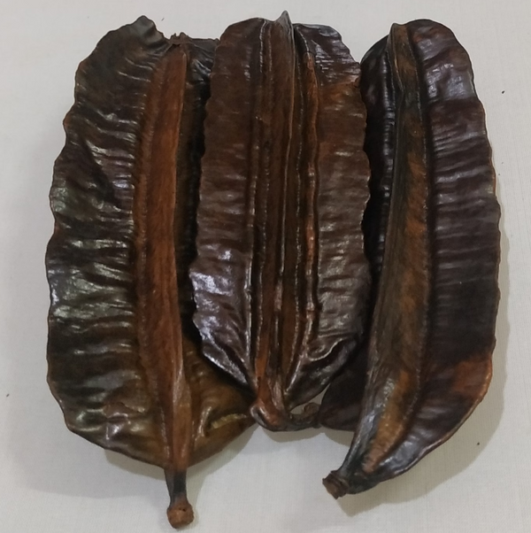 Prekese (Aidan Fruits) - 1 pièce