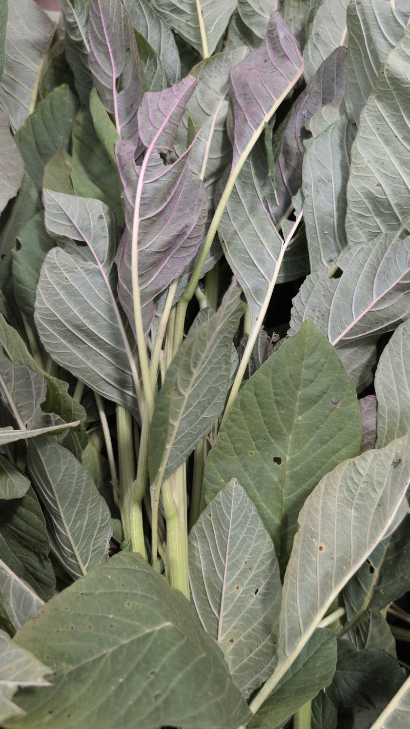 Fresh Organic Efo Tete (African Spinach) 1lb