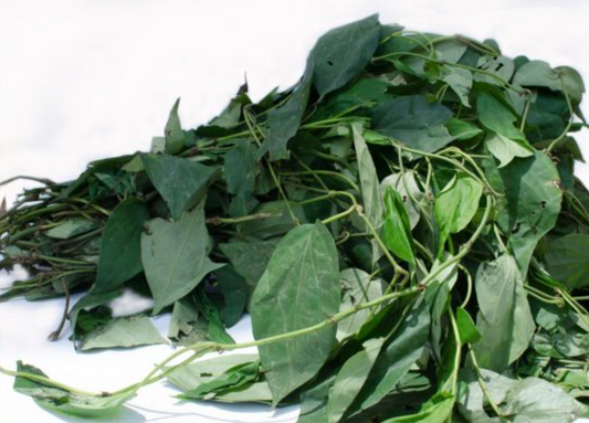 Fresh Utazi Leaves