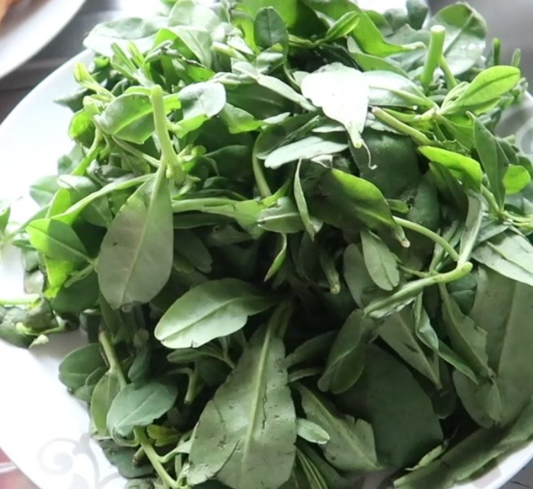 Water Leaf Vegetables - 500g