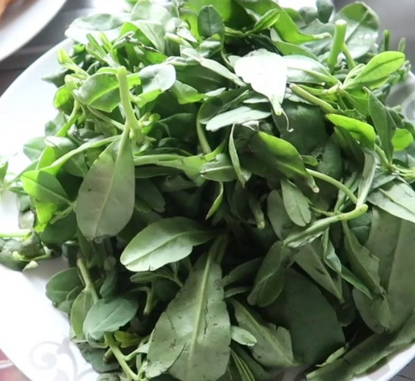 Légumes à feuilles d'eau - 500 g